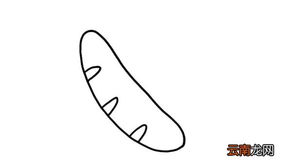 热狗简笔画的画法热狗简笔画的教程