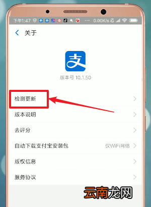 支付宝APP找到更新入口具体操作步骤