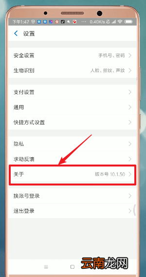 支付宝APP找到更新入口具体操作步骤