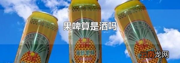 果啤算是酒吗
