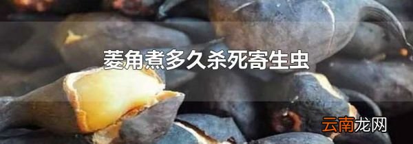 菱角煮多久杀死寄生虫