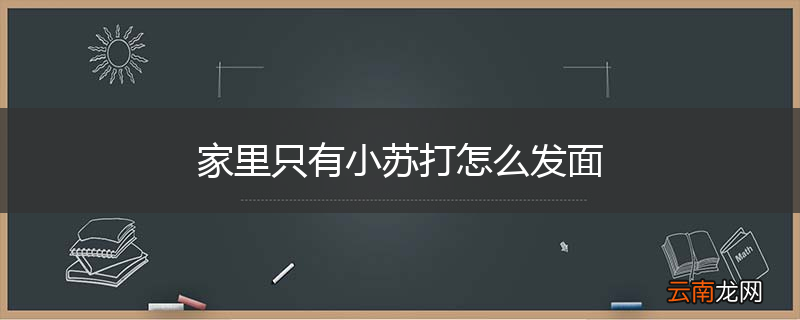 家里只有小苏打怎么发面