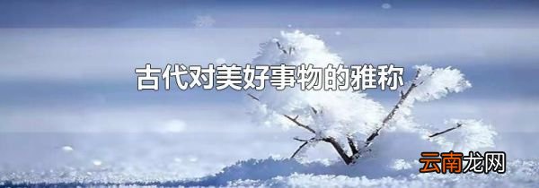 古代对美好事物的雅称