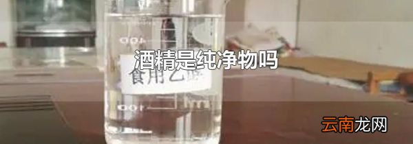 酒精是纯净物吗