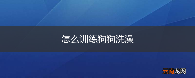 怎么训练狗狗洗澡