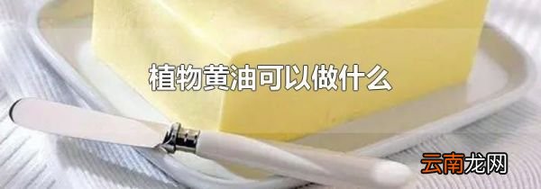 植物黄油可以做什么