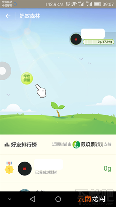 支付宝蚂蚁森林是什么？支付宝蚂蚁森林详细介绍
