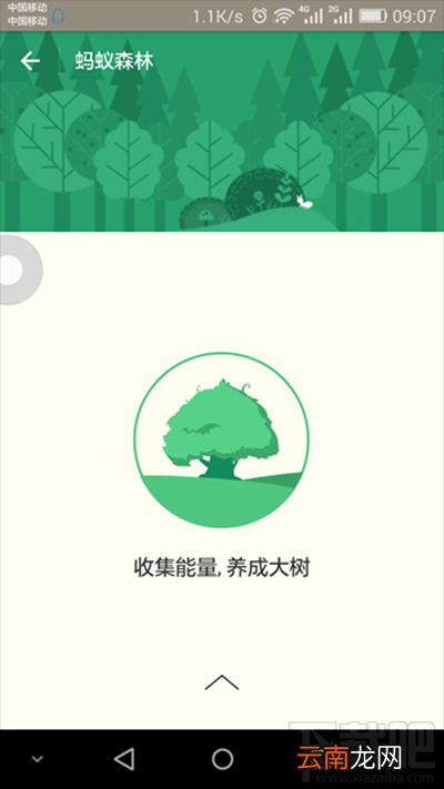 支付宝蚂蚁森林是什么？支付宝蚂蚁森林详细介绍