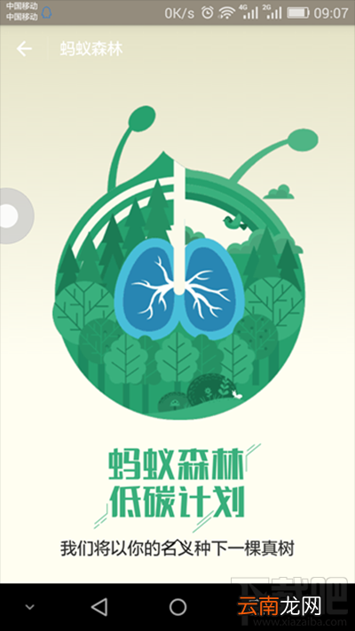 支付宝蚂蚁森林是什么？支付宝蚂蚁森林详细介绍