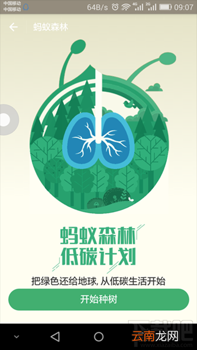 支付宝蚂蚁森林是什么？支付宝蚂蚁森林详细介绍
