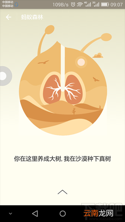 支付宝蚂蚁森林是什么？支付宝蚂蚁森林详细介绍