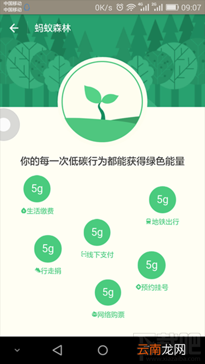 支付宝蚂蚁森林是什么？支付宝蚂蚁森林详细介绍