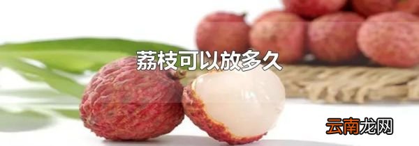 荔枝可以放多久