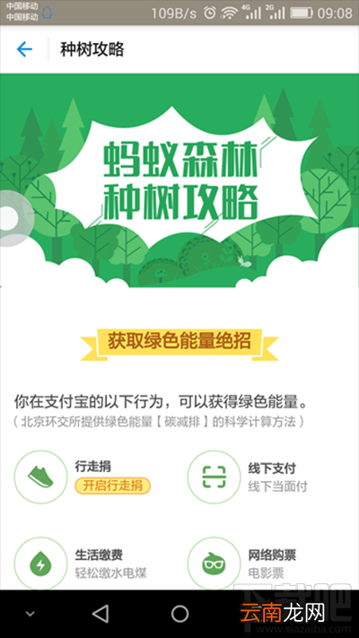 支付宝蚂蚁森林有什么用？