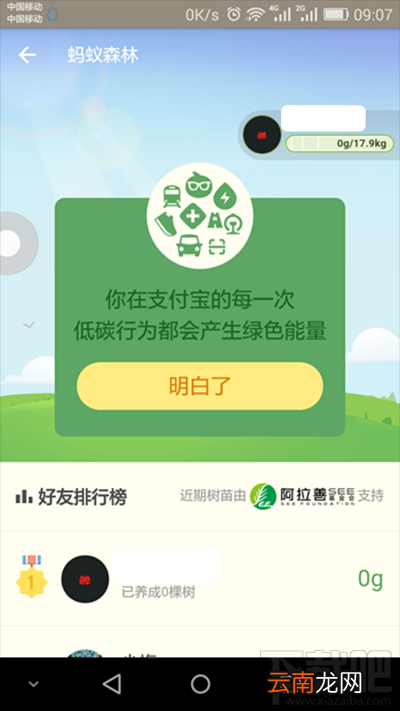 支付宝蚂蚁森林有什么用？