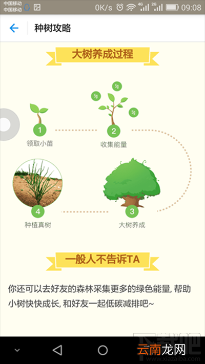 支付宝蚂蚁森林有什么用？