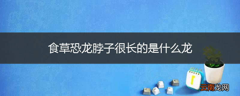 食草恐龙脖子很长的是什么龙