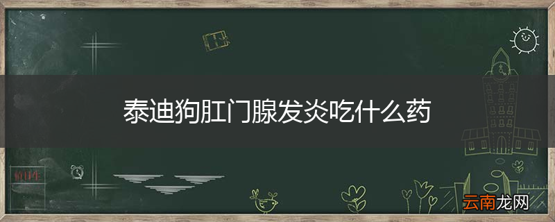 泰迪狗肛门腺发炎吃什么药