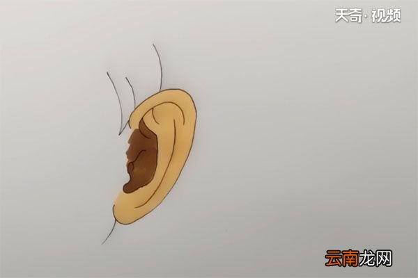 大耳朵简笔画