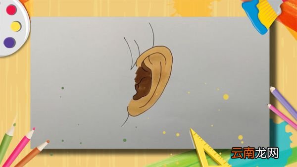大耳朵简笔画