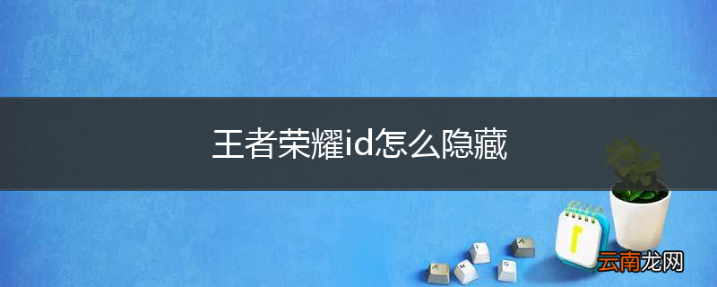 王者荣耀id怎么隐藏