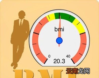 BMI是什么？