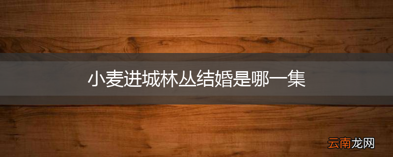 小麦进城林丛结婚是哪一集