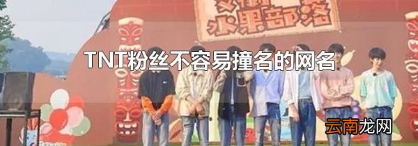 TNT粉丝不容易撞名的网名