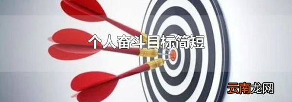 个人奋斗目标简短