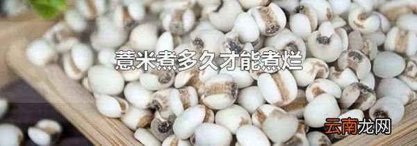 薏米煮多久才能煮烂