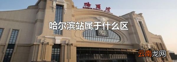 哈尔滨站属于什么区
