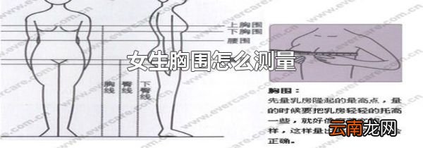 女生胸围怎么测量