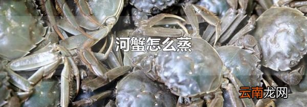 河蟹怎么蒸