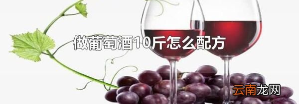 做葡萄酒10斤怎么配方