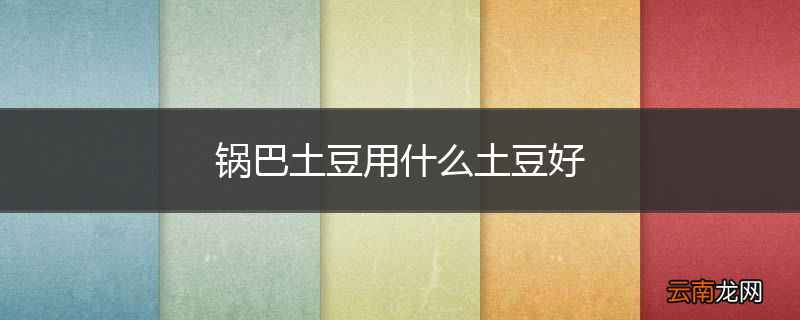 锅巴土豆用什么土豆好
