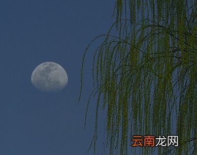 “月上柳梢头，人约黄昏后”是什么节？