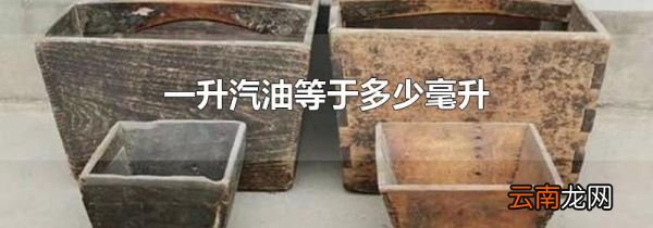 一升汽油等于多少毫升