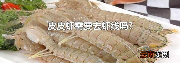 皮皮虾需要去虾线吗?