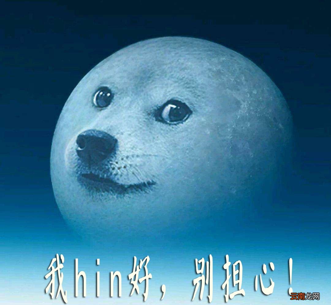 hin是什么梗？