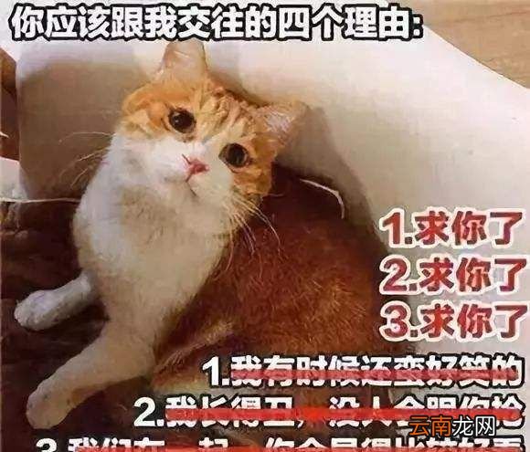 舔狗模式到底什么意思？