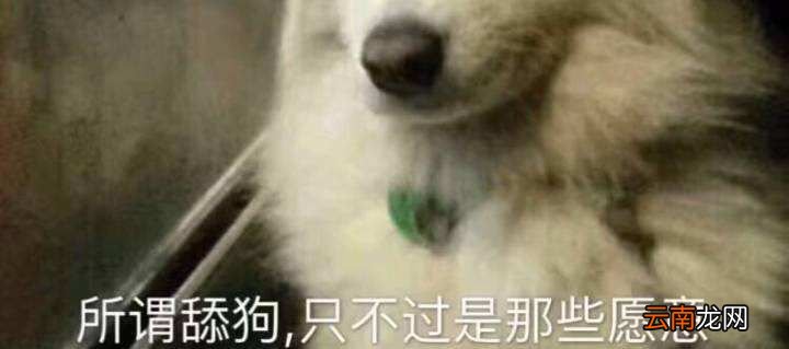 舔狗模式到底什么意思？