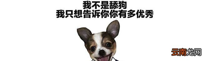 舔狗模式到底什么意思？