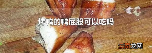烤鸭的鸭屁股可以吃吗
