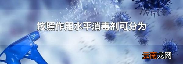 按照作用水平消毒剂可分为