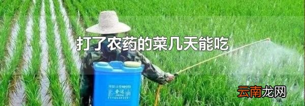打了农药的菜几天能吃
