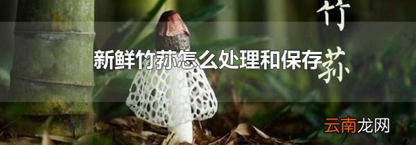 新鲜竹荪怎么处理和保存