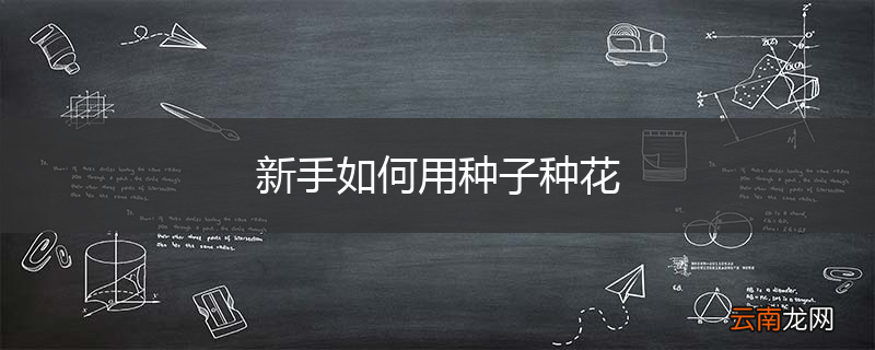 新手如何用种子种花