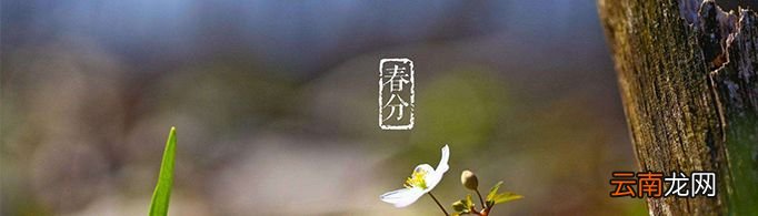 什么情况下，太阳不会升起来？