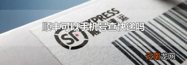 顺丰可以手机号查快递吗