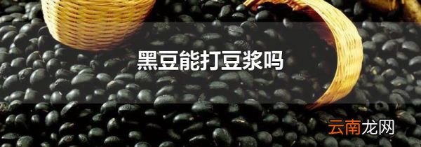 黑豆能打豆浆吗